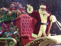 Natal Luz - Nova Petrópolis, Gramado e Canela - RS